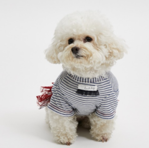French Chic for Furry Friends